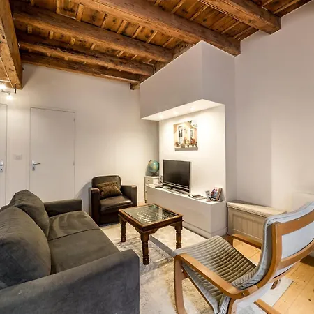 Old Lyon, Historic District Calm And Spacious Ail דירה *