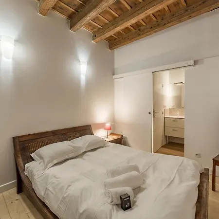 Old Lyon, Historic District Calm And Spacious Ail Apartment