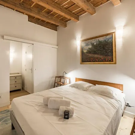 Old Lyon, Historic District Calm And Spacious Ail Apartment